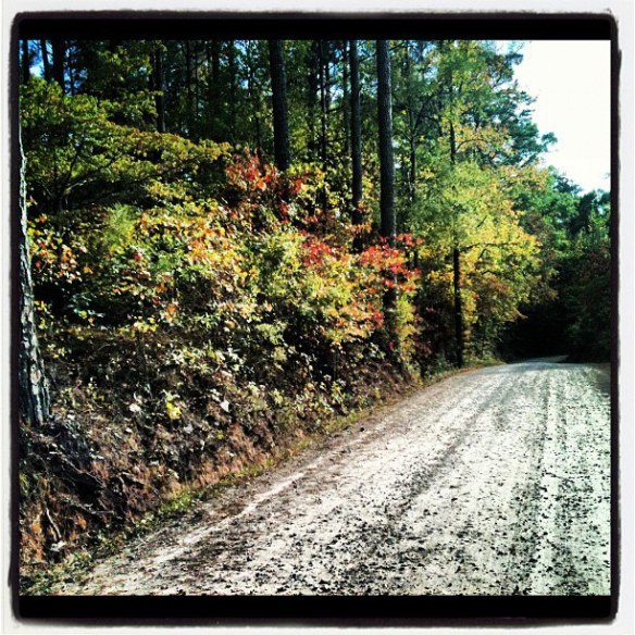 487481_10151446600091521_86944638_n